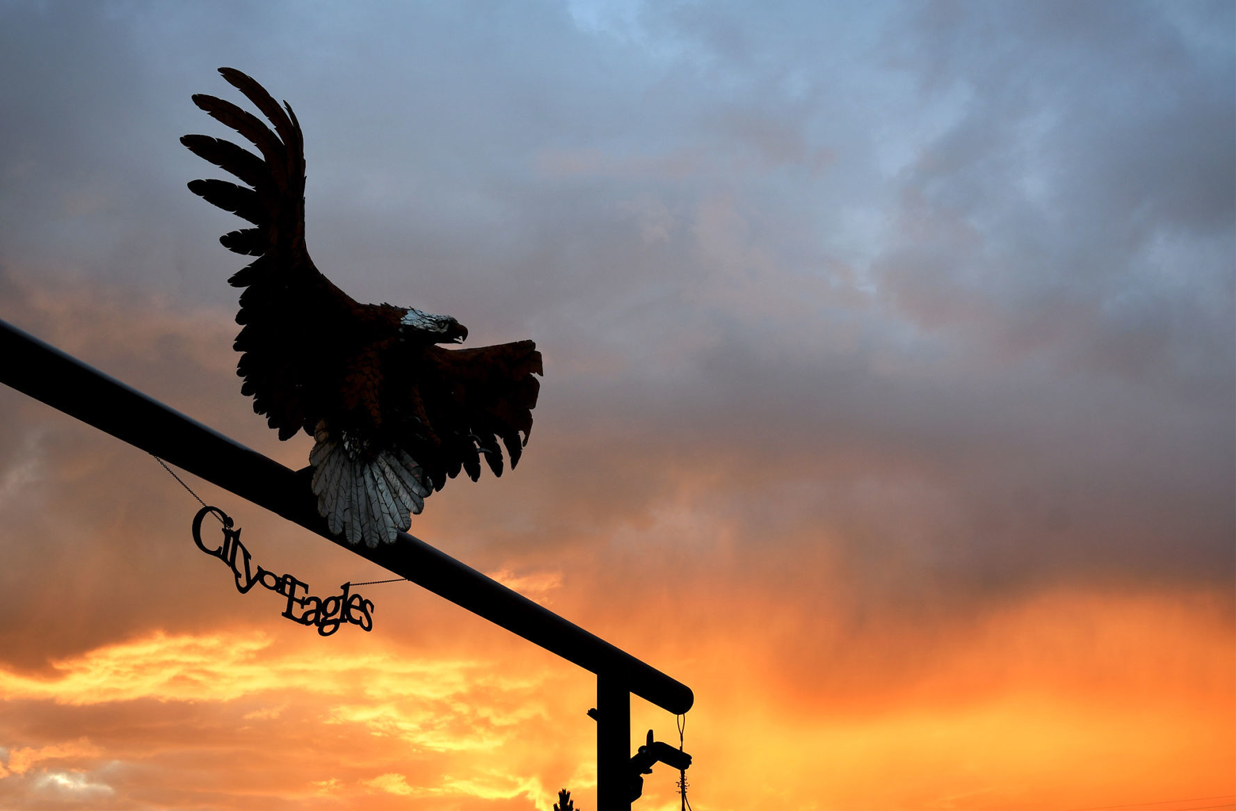Dawn in Libby: City of Eagles